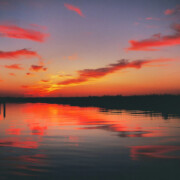 Bradford Island