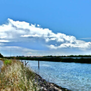 Bradford Island
