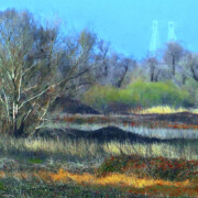 Bradford Island