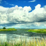 Bradford Island