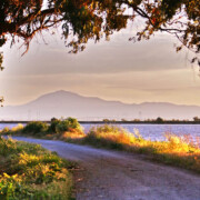 Bradford Island